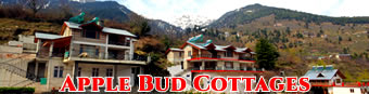 Apple Bud Cottages Manali, Hotels in manali, manali cottages, resorts in manali