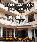 Hotel Snow Park Manali