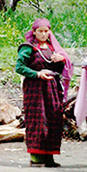 A Woman wearing Pattu