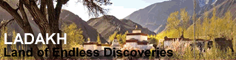 exotic asia travel provides servies in trekking in ladakh, trekking in zanskar, markha valley trekking, chadar trek, toursim ladakh, ladakh cultural tour, hikes in ladakh, stok kangri expedition