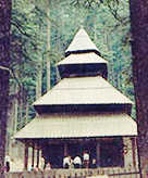 Hadimba Temple - Manali