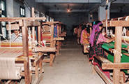 A Shawl Factory - Kullu valley