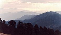 A view from Jallori Pass