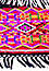 Brilliant Border of a Kullu Shawl