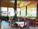 The Restaurant